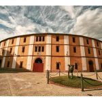 El Tribunal de Contratos de Aragón archiva el recurso contra los festejos taurinos de Calatayud