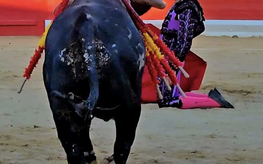 CRISTIANO, TRIUNFADOR DE LA FERIA DE PERALTA