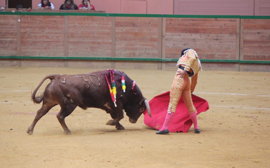 CRISTIANO TORRES SE DESPIDE DE NOVILLERO