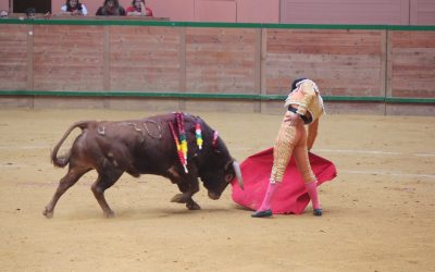 CRISTIANO TORRES SE DESPIDE DE NOVILLERO