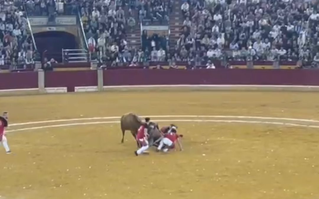 FERIA DEL PILAR. CAMPEONATO NACIONAL ROSCADEROS