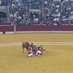 FERIA DEL PILAR. CAMPEONATO NACIONAL ROSCADEROS