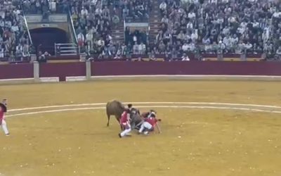 FERIA DEL PILAR. CAMPEONATO NACIONAL ROSCADEROS