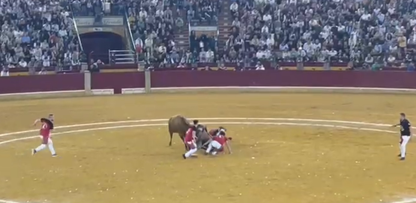 FERIA DEL PILAR. CAMPEONATO NACIONAL ROSCADEROS
