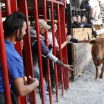 El Gobierno de Aragón exige nuevas medidas en los festejos populares