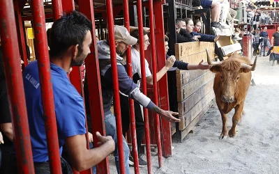 El Gobierno de Aragón exige nuevas medidas en los festejos populares