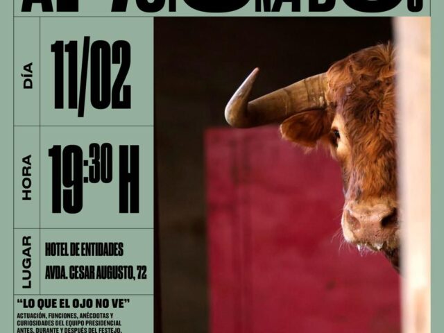 Mar de Nubes abre al aficionado el “lado oculto” del palco presidencial en su Curso de Aficionados