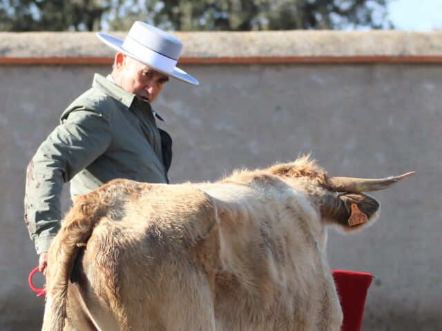 ENTREVISTA  SÁNCHEZ PUERTO, FESTIVAL RICLA