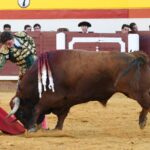 Jorge Isiegas y Alejandro Marcos tocan pelo en la cuarta de la Copa Chenel