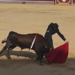 Amaro Lidoy corta una oreja en su presentación en Albacete en clase práctica