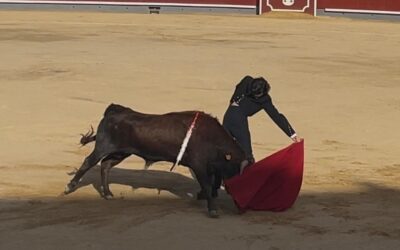 Amaro Lidoy corta una oreja en su presentación en Albacete en clase práctica