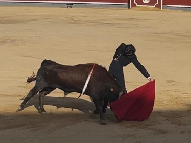 Amaro Lidoy corta una oreja en su presentación en Albacete en clase práctica