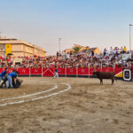 TOROSOCIAL volverá a gestionar en 2026 la feria taurina de Pedrola