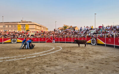 TOROSOCIAL volverá a gestionar en 2026 la feria taurina de Pedrola