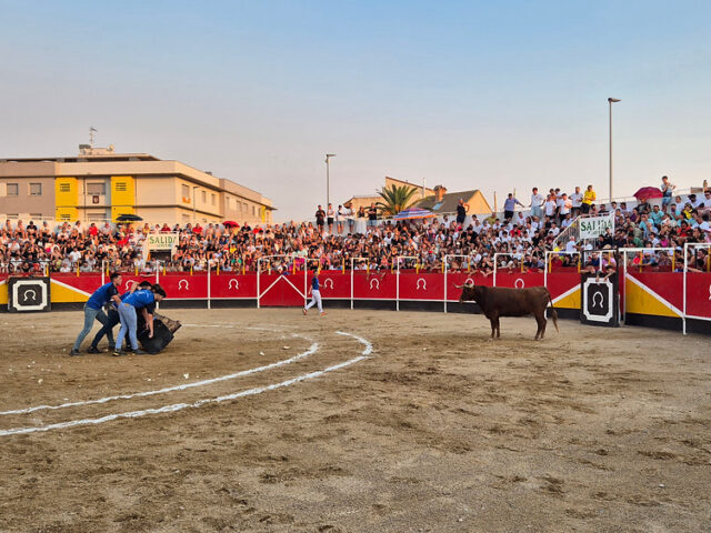 TOROSOCIAL volverá a gestionar en 2026 la feria taurina de Pedrola