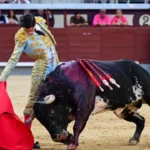 Esfuerzo sin resultados de ‘El Mene’ en la plaza de Las Ventas antes de su alternativa en Zaragoza