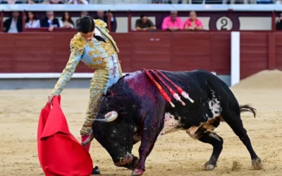 Esfuerzo sin resultados de ‘El Mene’ en la plaza de Las Ventas antes de su alternativa en Zaragoza