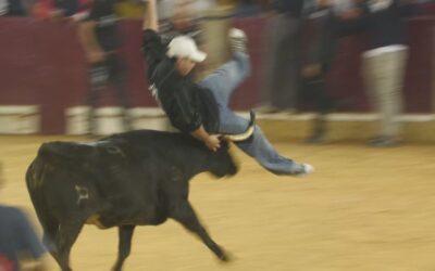 Aragón TV no emitirá las vaquillas del Pilar después de 20 años
